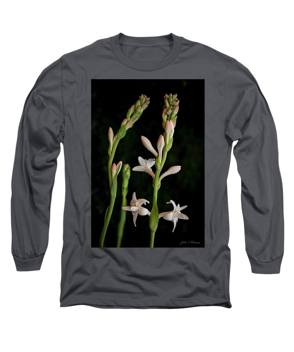 Tuberose Long Sleeve T-Shirt featuring the photograph Double Tuberose in Bloom #2 by John A Rodriguez