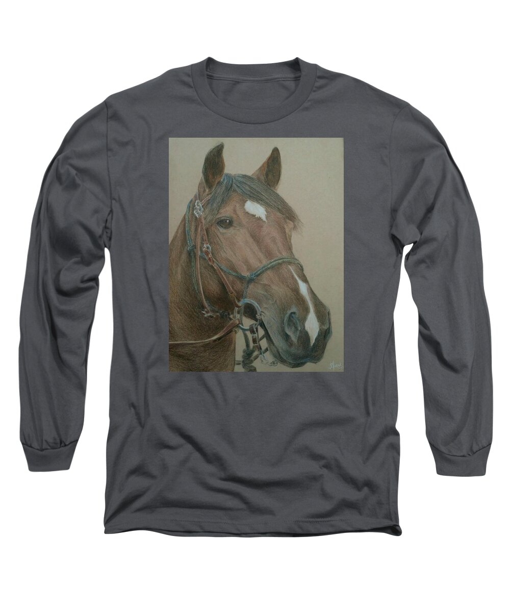 Horse Long Sleeve T-Shirt featuring the painting Dozer by James Andrews