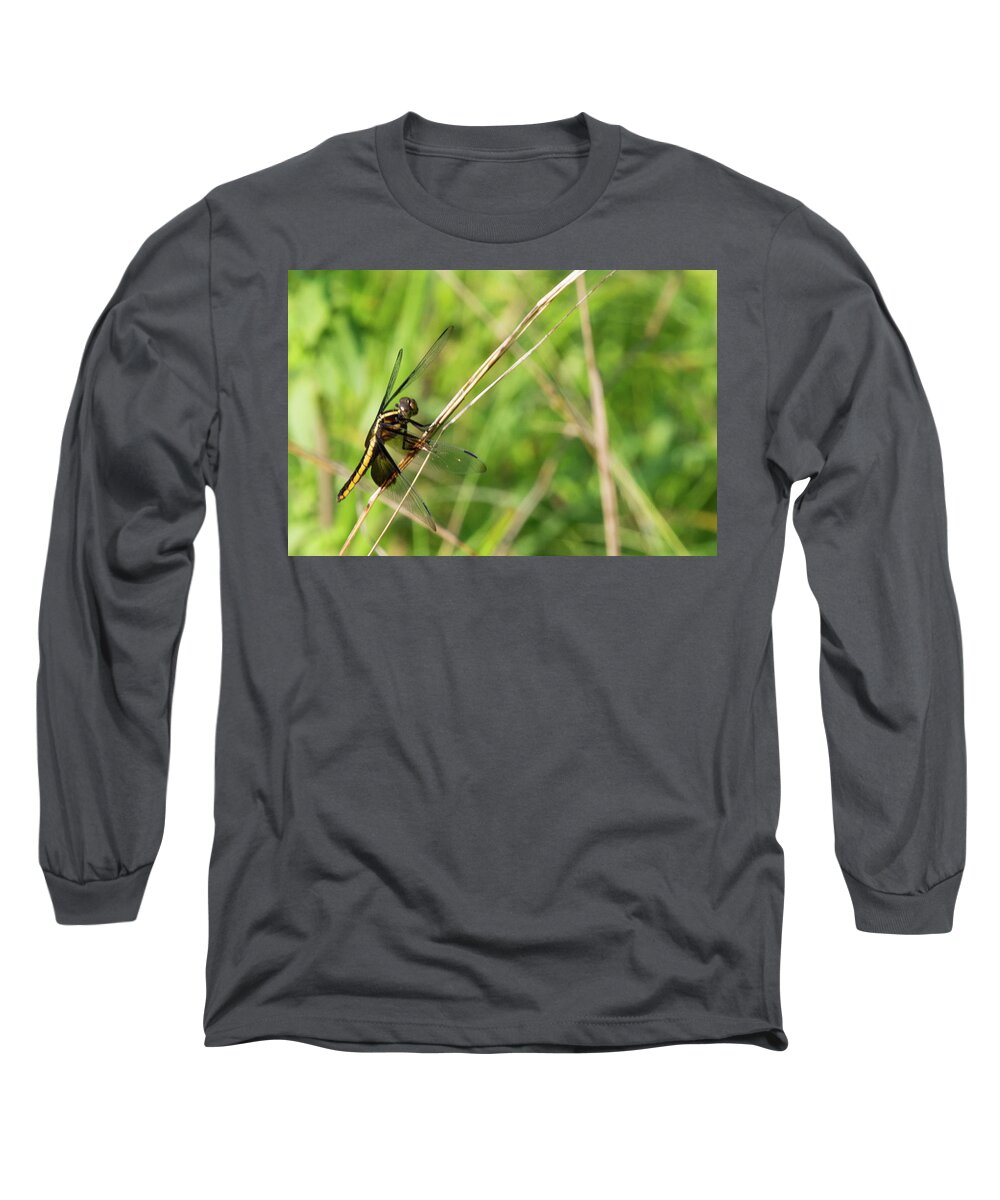 Dragonfly Long Sleeve T-Shirt featuring the photograph Dragonfly by John Benedict