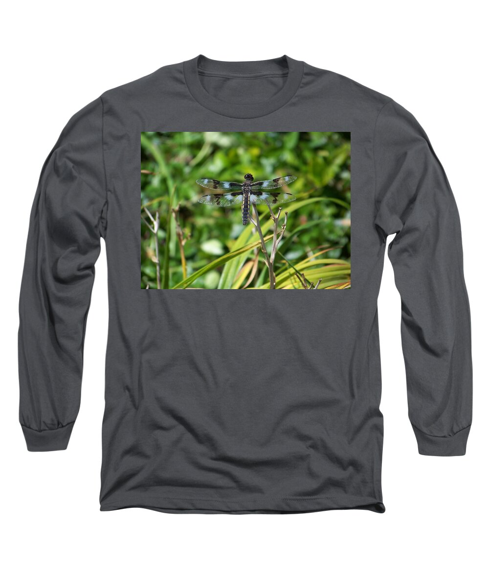 Dragonfly Long Sleeve T-Shirt featuring the photograph Dragonfly by Julie Rauscher