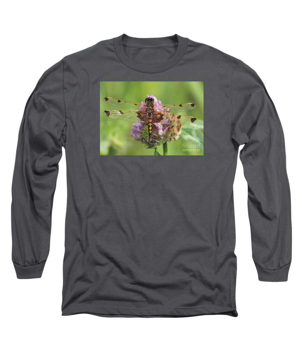 Nature Long Sleeve T-Shirt featuring the photograph Dragonfly on Clover by Lili Feinstein