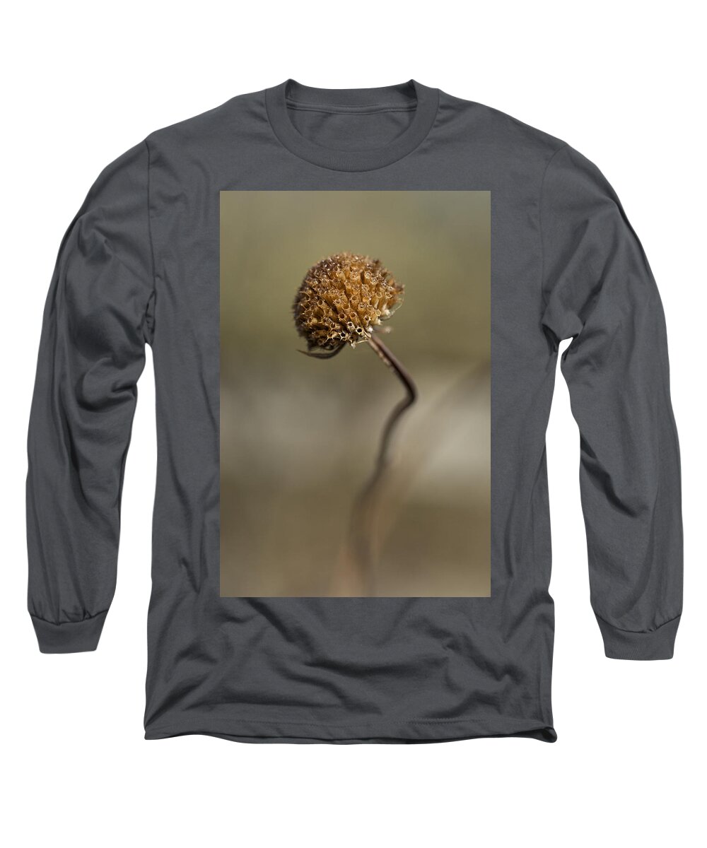 Flower Long Sleeve T-Shirt featuring the photograph Dried Flower Close-up by Denise Bush