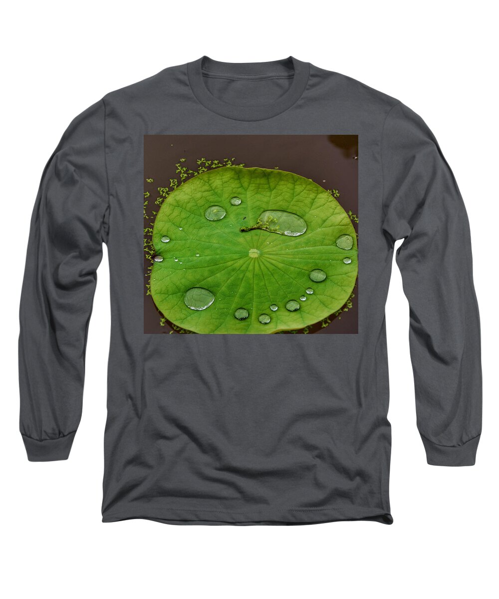Bees Long Sleeve T-Shirt featuring the photograph Droplets I by Kathi Isserman