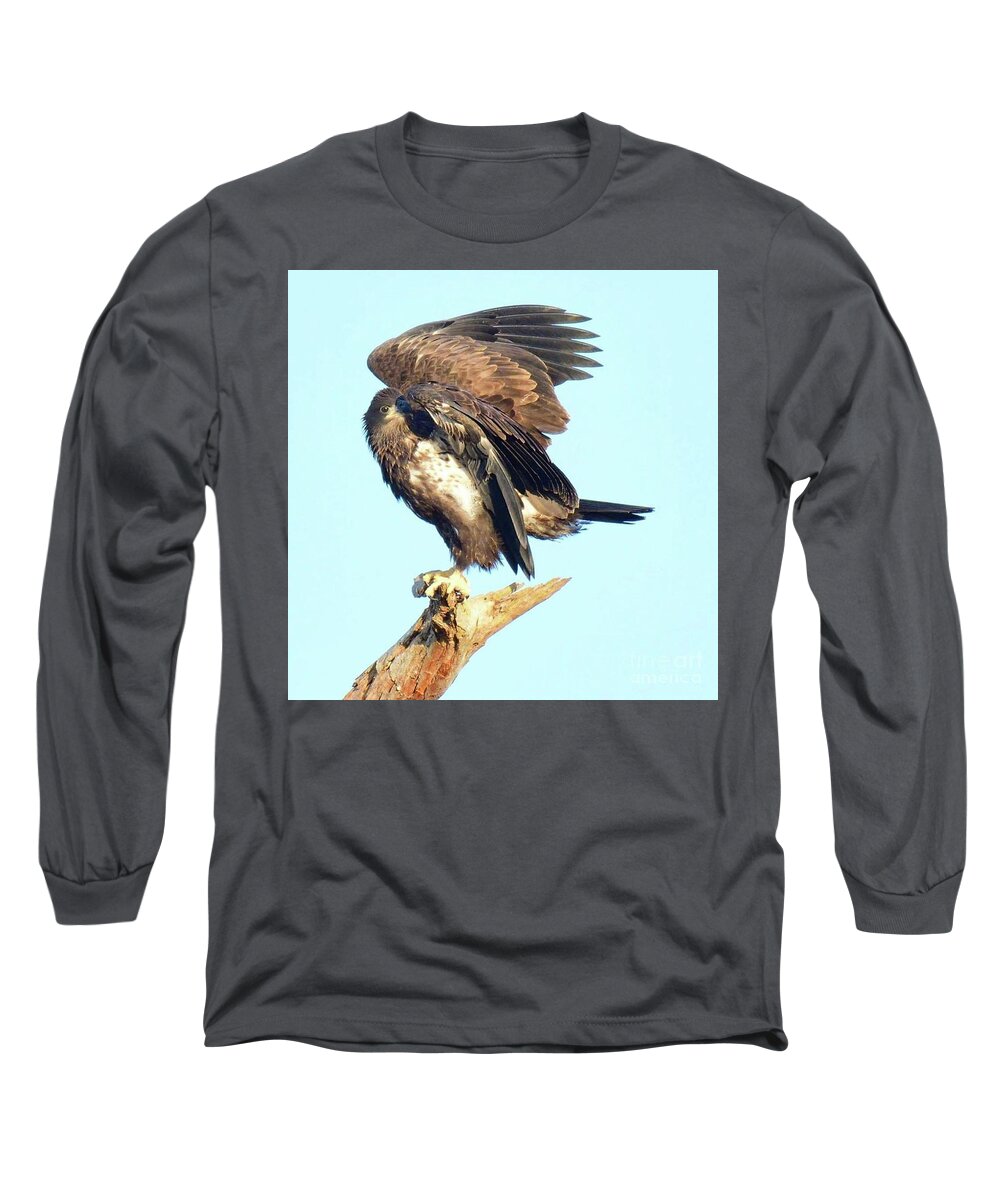Bald Eagle Long Sleeve T-Shirt featuring the photograph E9 Gentle pose by Liz Grindstaff