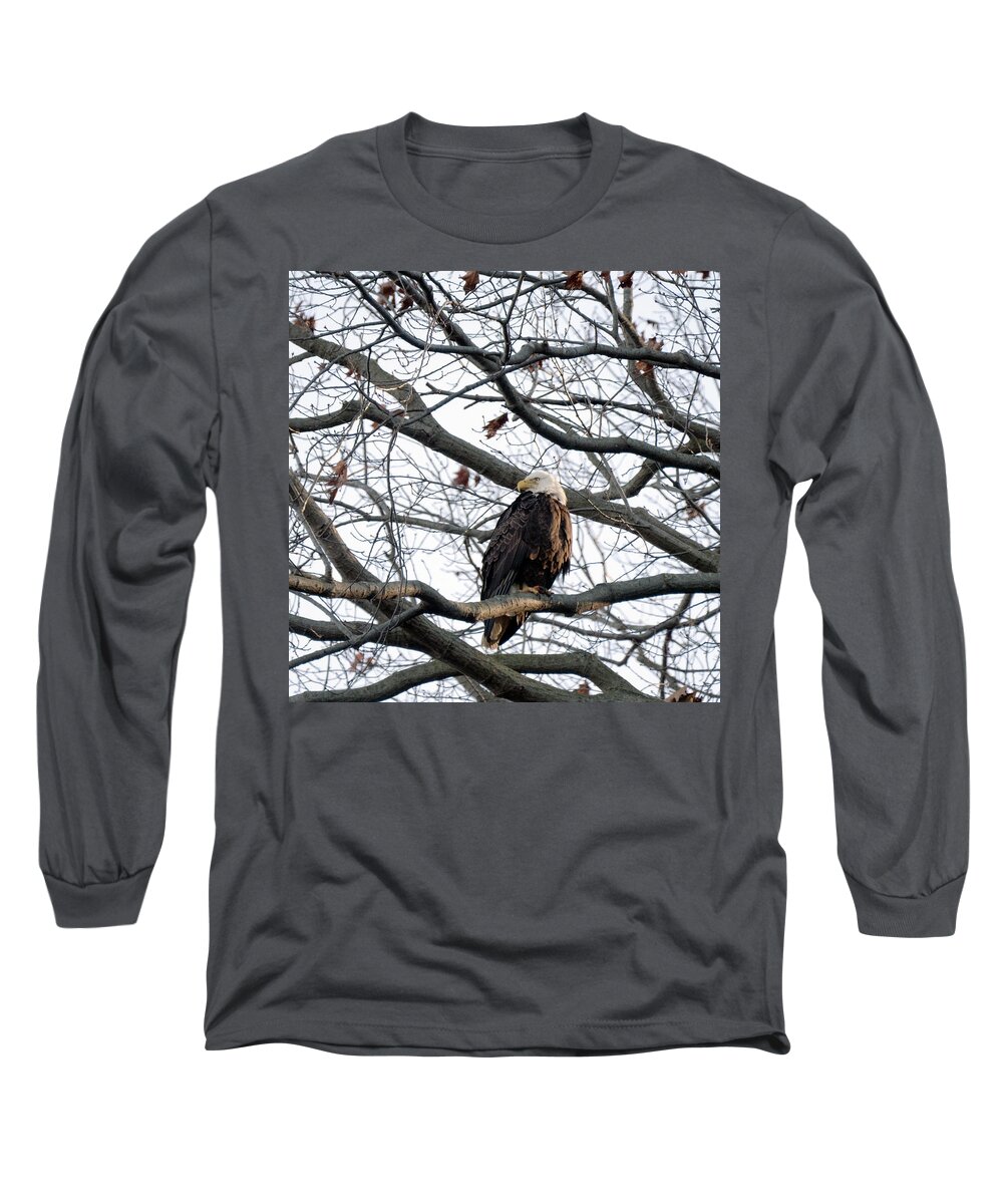 Birds Long Sleeve T-Shirt featuring the photograph Eagel 0 by Paul Ross
