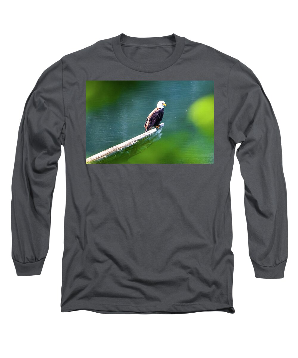 Eagle Long Sleeve T-Shirt featuring the photograph Eagle in Lake by Chuck Brown