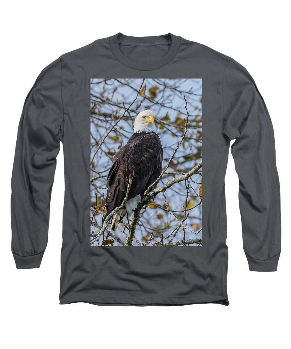 Bald Eagle Long Sleeve T-Shirt featuring the photograph Eagle portrait by David Lee