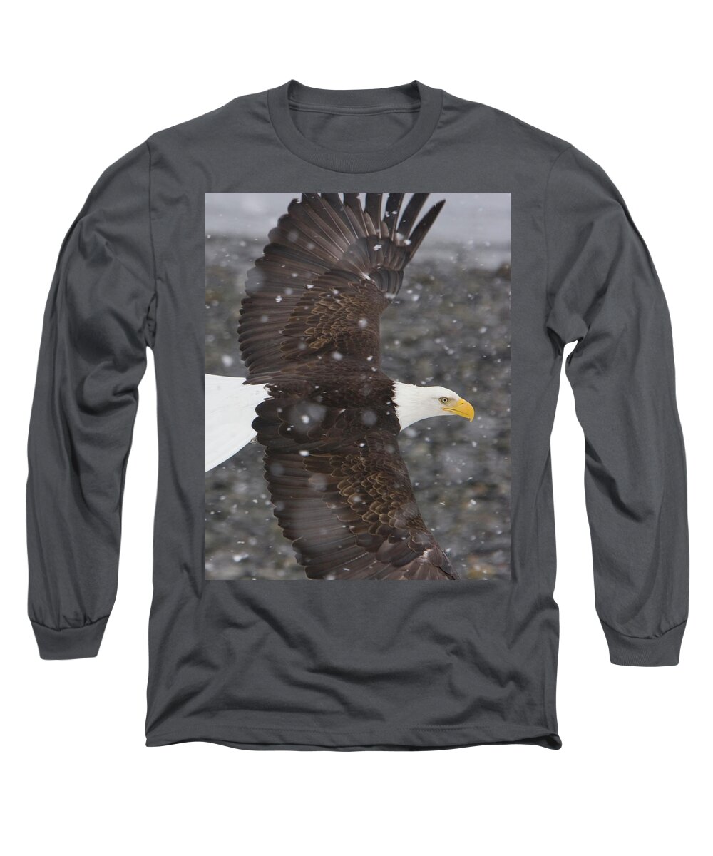 Eagle Long Sleeve T-Shirt featuring the photograph Eagle Wings by Mark Miller