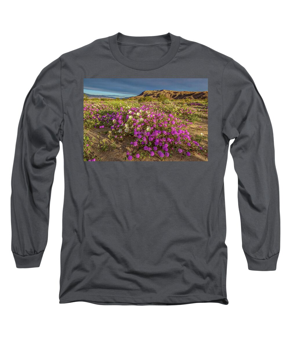 Anza-borrego Desert Long Sleeve T-Shirt featuring the photograph Early Morning Light Super Bloom by Peter Tellone