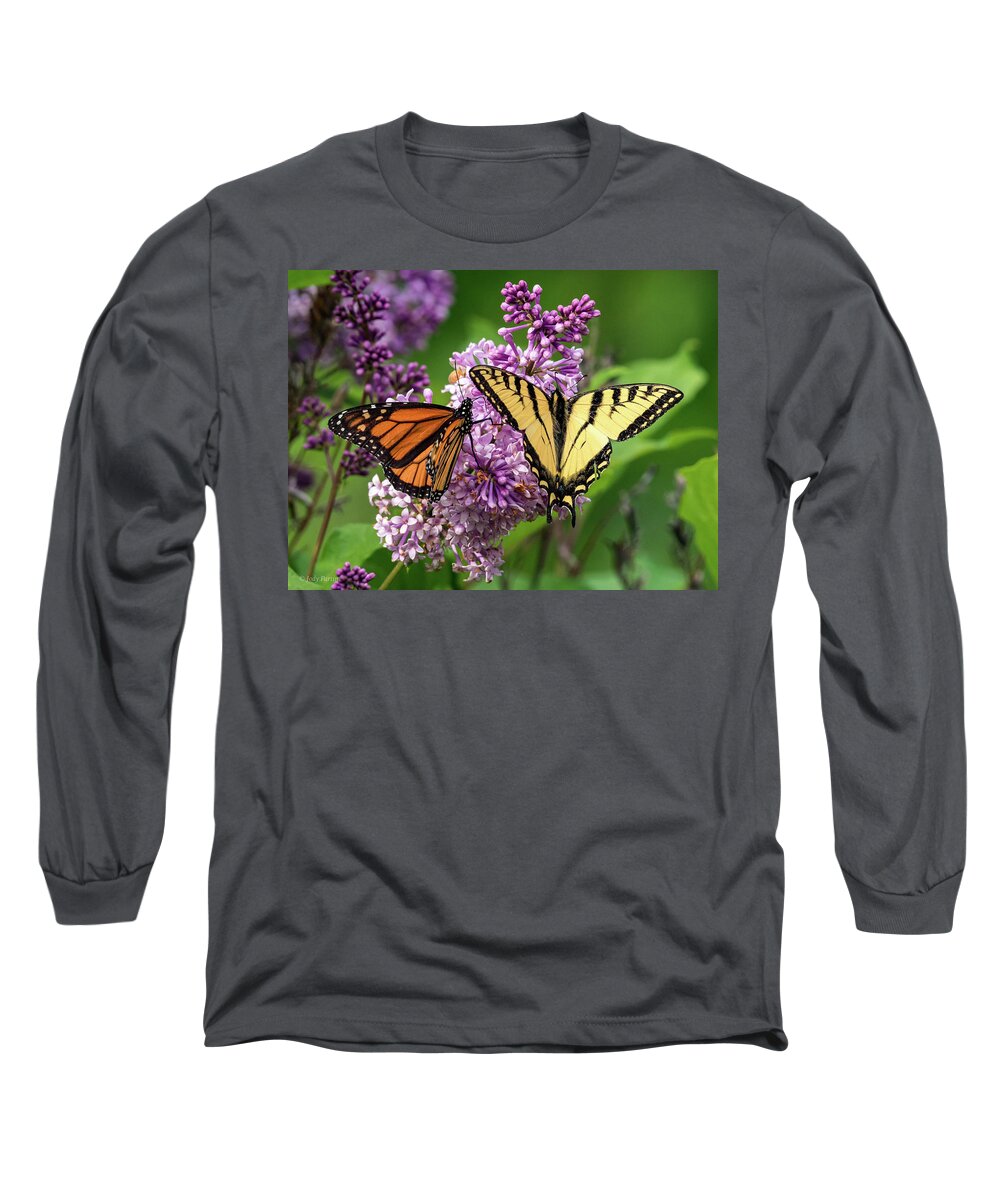 Flower Long Sleeve T-Shirt featuring the photograph Early Summer Magic by Jody Partin