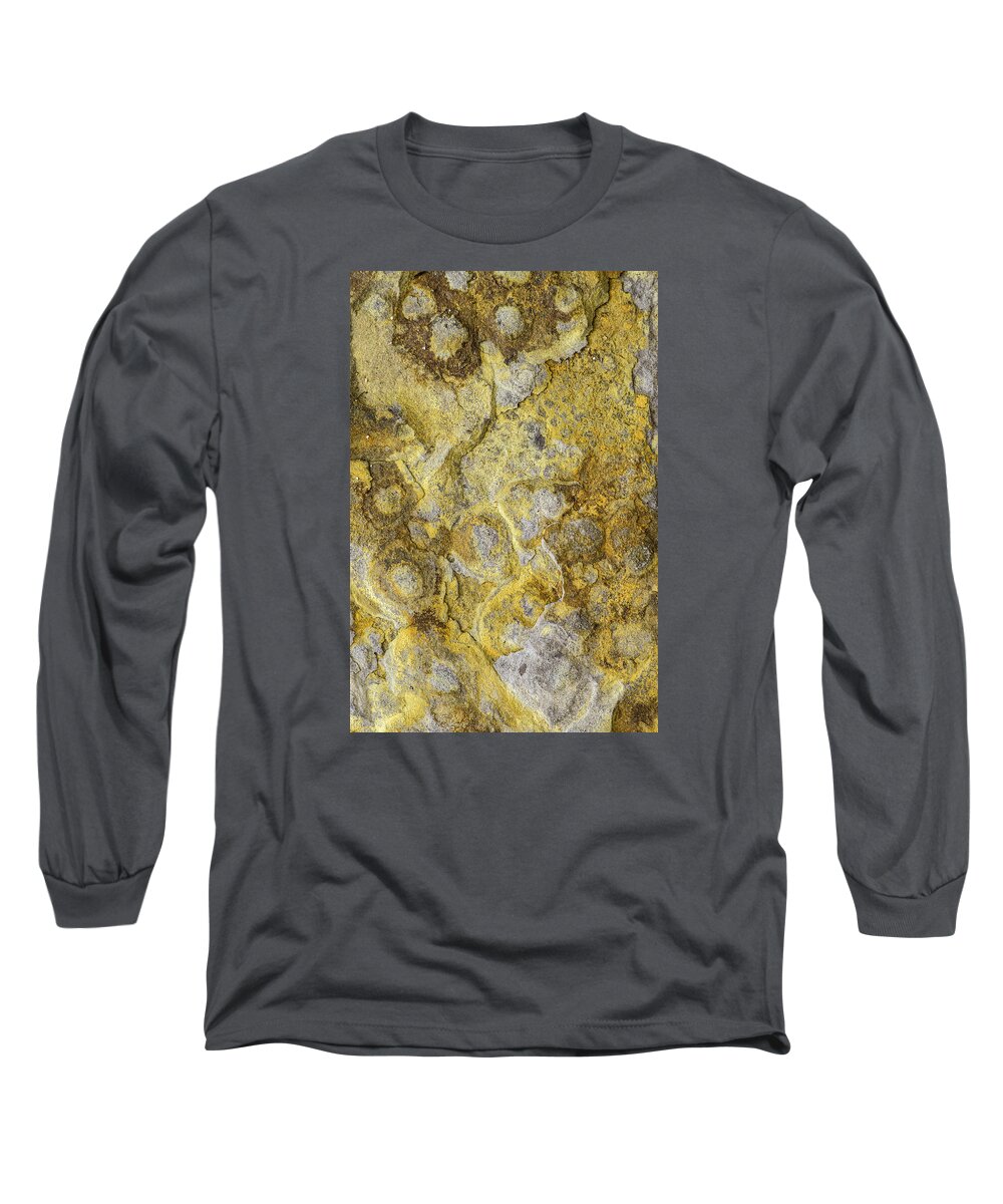 Macro Long Sleeve T-Shirt featuring the photograph Earth Portrait 013 by David Waldrop