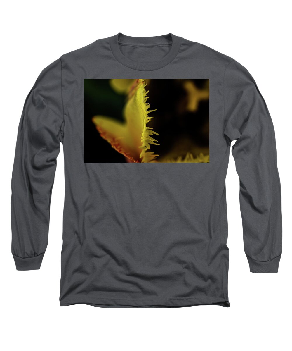 Jay Stockhaus Long Sleeve T-Shirt featuring the photograph Edge of the Tulip by Jay Stockhaus