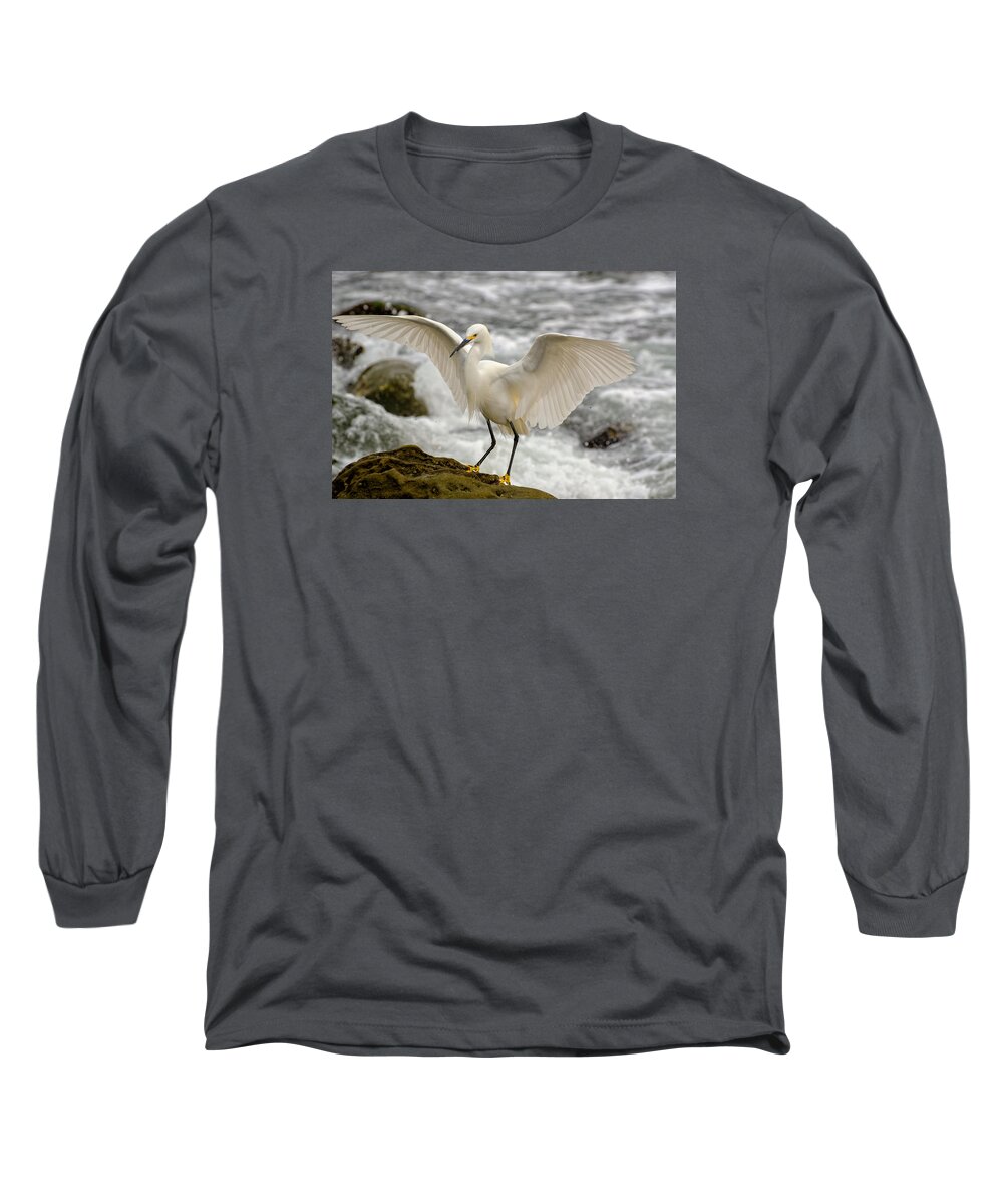 Snowy White Egret Long Sleeve T-Shirt featuring the photograph Egret's Landing by Evelyn Harrison