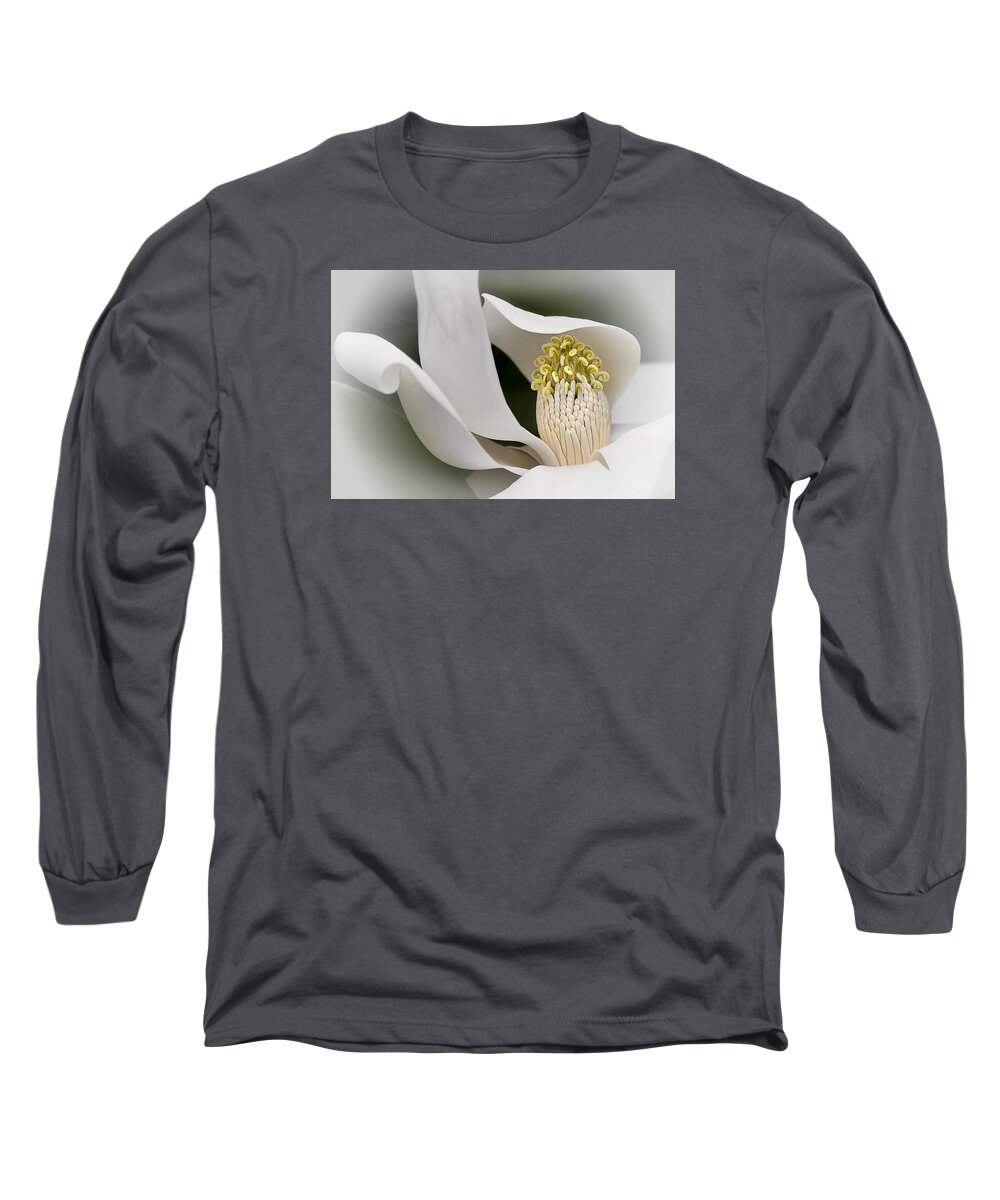 Elegant Magnolia Long Sleeve T-Shirt featuring the photograph Elegant Magnolia II by Ken Barrett