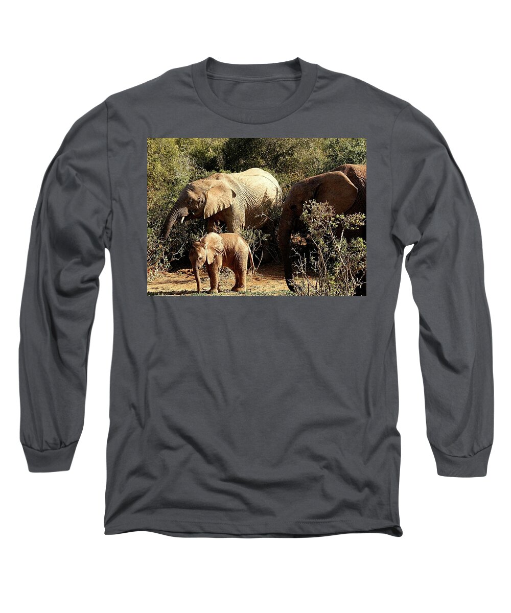 Elephants Long Sleeve T-Shirt featuring the photograph Elephant Family by Jennifer Wheatley Wolf