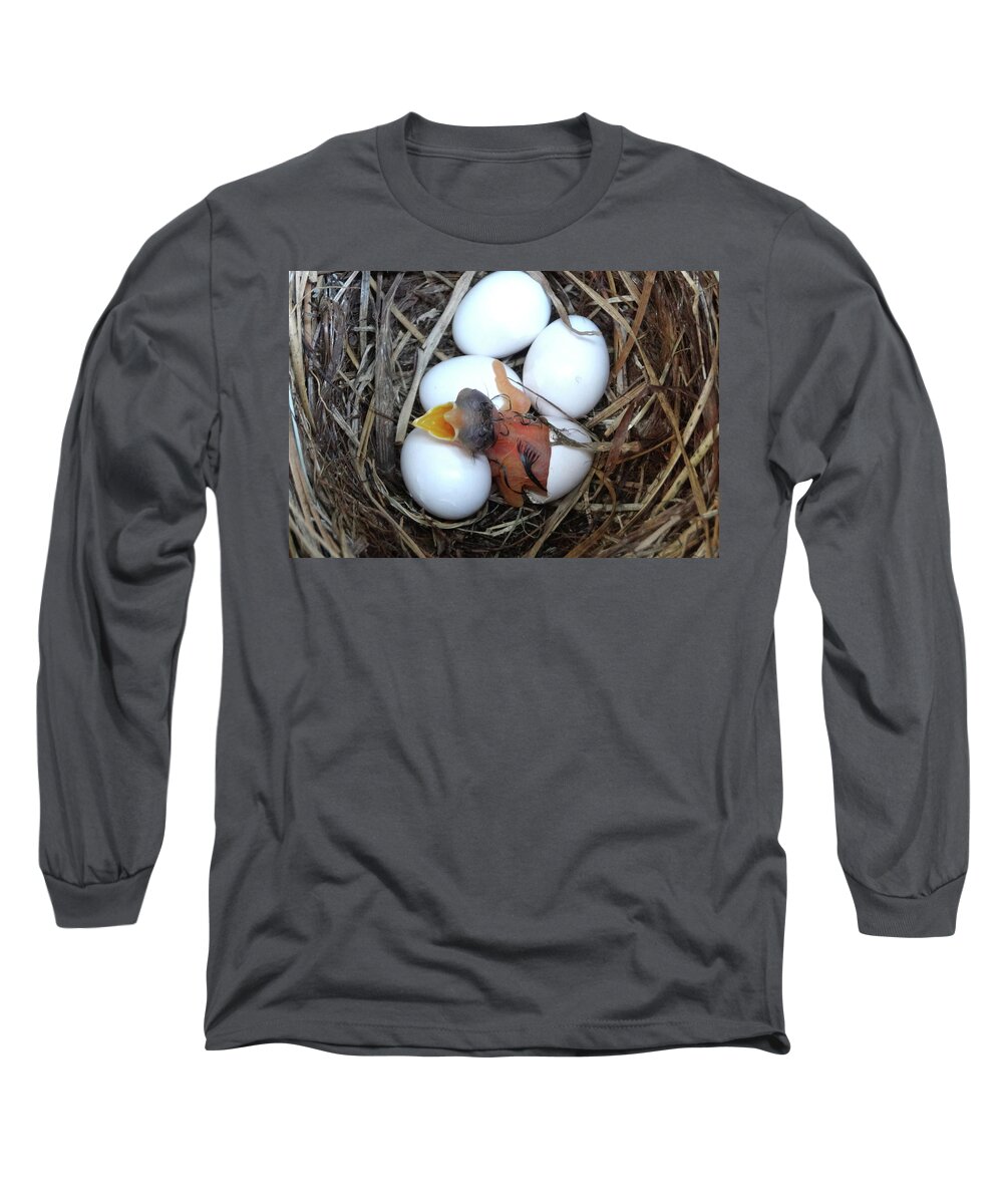 New Born. Bluebird Long Sleeve T-Shirt featuring the photograph Emerging by Jerry Griffin