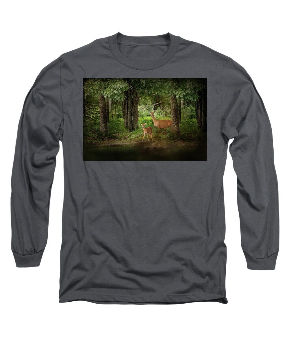 Deer Print Long Sleeve T-Shirt featuring the photograph Enchanted Forest Deer Print by Gwen Gibson