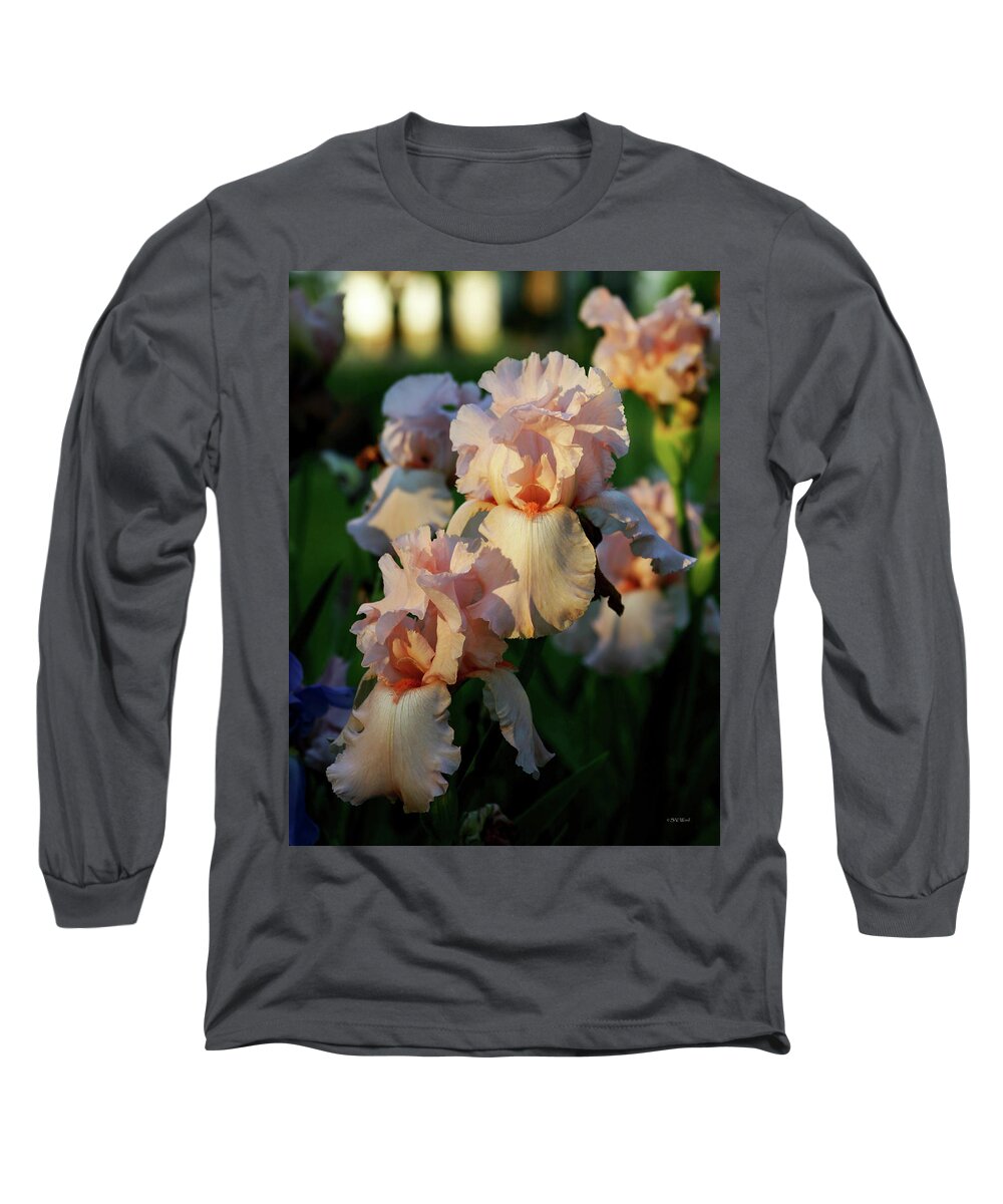 Impressionist Long Sleeve T-Shirt featuring the photograph End of Day Pink Irises 6702 H_2 by Steven Ward