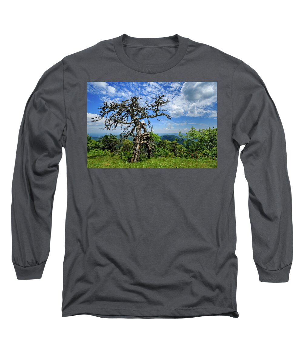 Blue Ridge Parkway Long Sleeve T-Shirt featuring the photograph Ent at the Top of the Hill - Color by Joni Eskridge