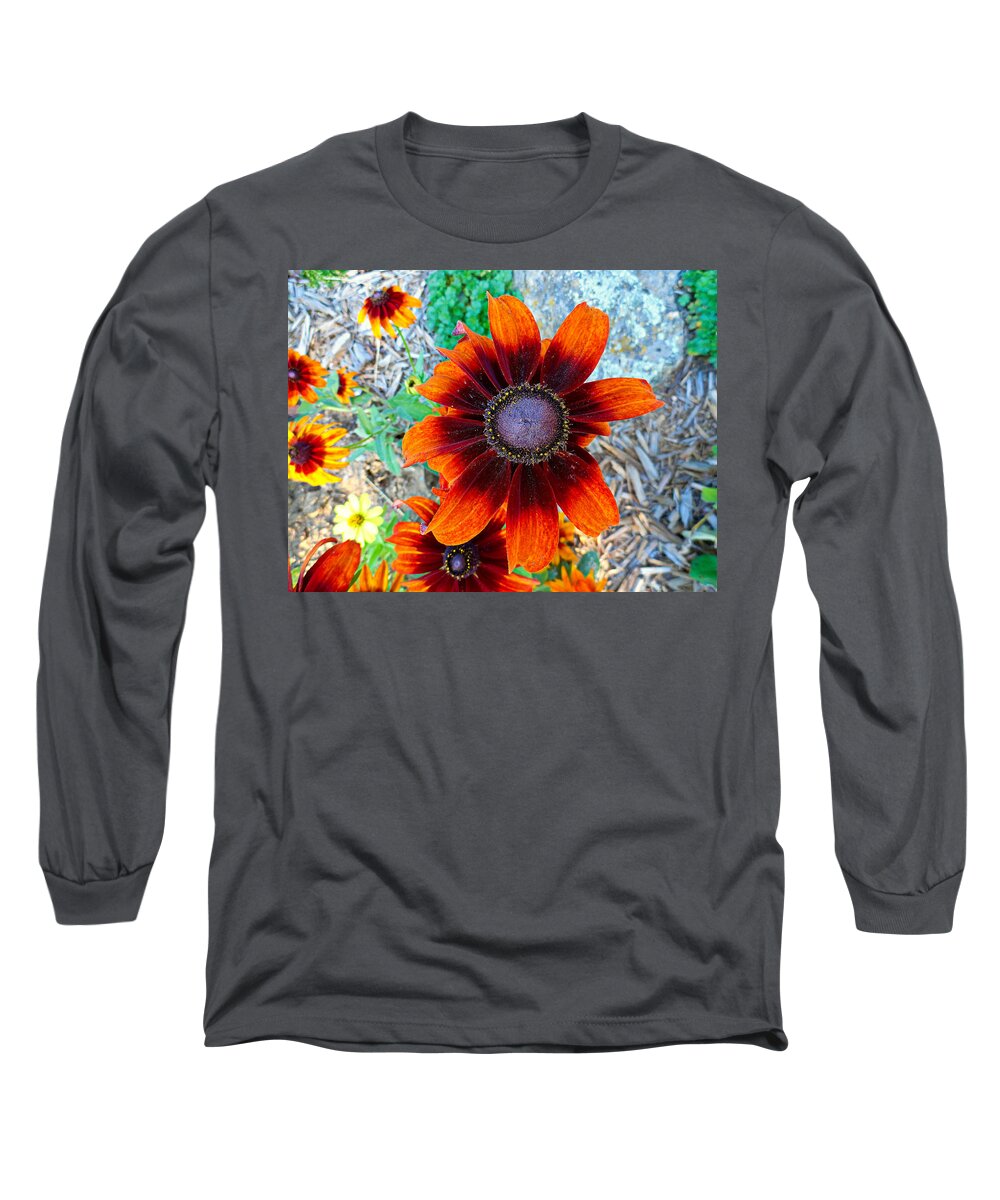 Estes Park Long Sleeve T-Shirt featuring the photograph Estes Autumn Bloom by Robert Meyers-Lussier