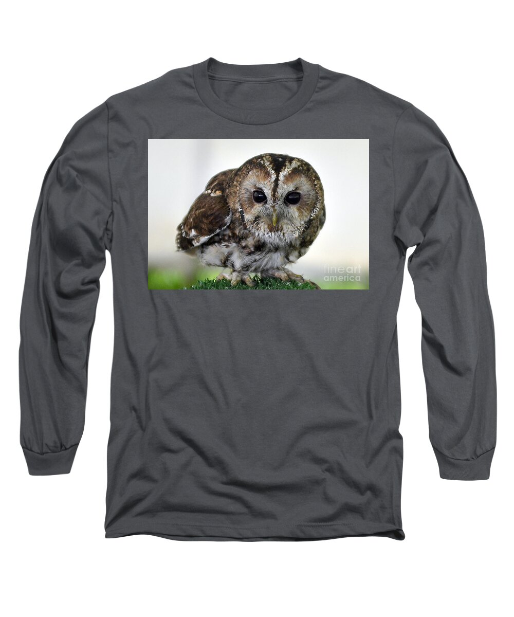 Eurasian Tawny Owl Long Sleeve T-Shirt featuring the photograph Eurasian Tawny Owl by Steve Somerville