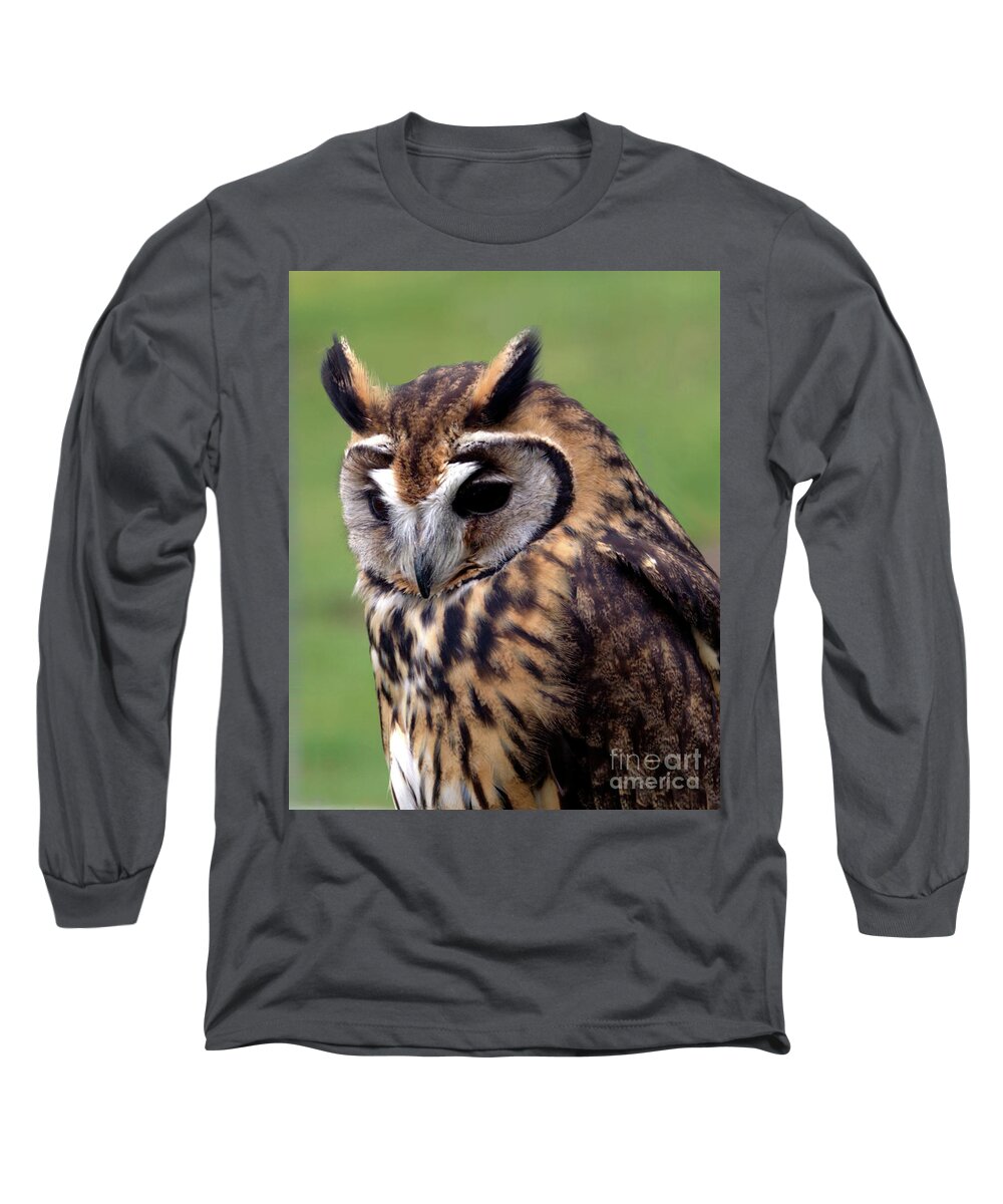 Owl Long Sleeve T-Shirt featuring the photograph Eurasian Striped Owl by Stephen Melia