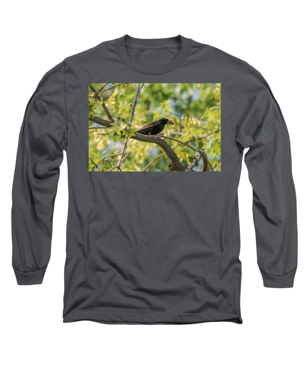 Bird Long Sleeve T-Shirt featuring the photograph European Starling With Lunch by Holden The Moment