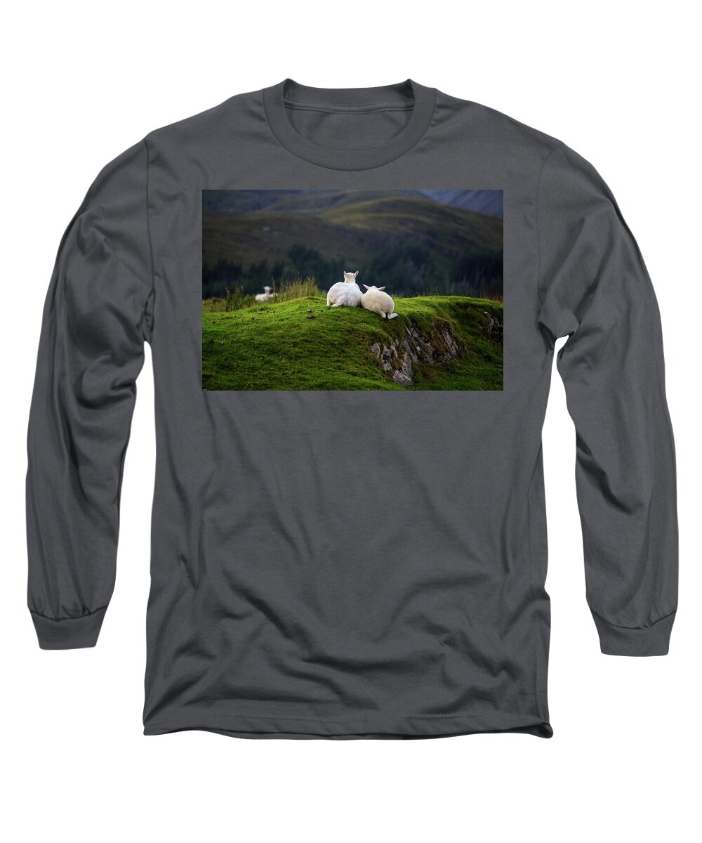 Sheep Long Sleeve T-Shirt featuring the photograph Ewe and Me by Rob Davies