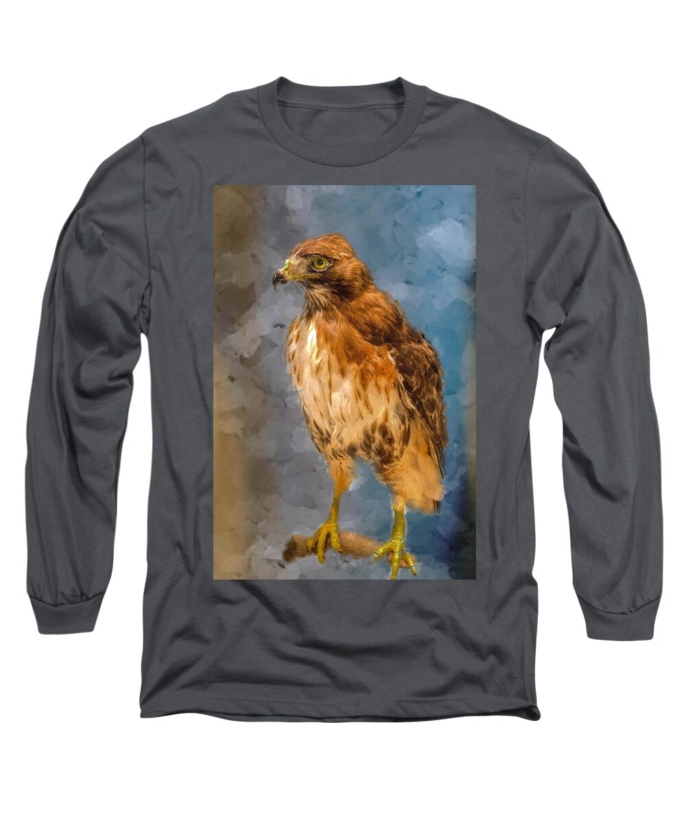 Animal Long Sleeve T-Shirt featuring the painting Eye of the Hawk by Ches Black