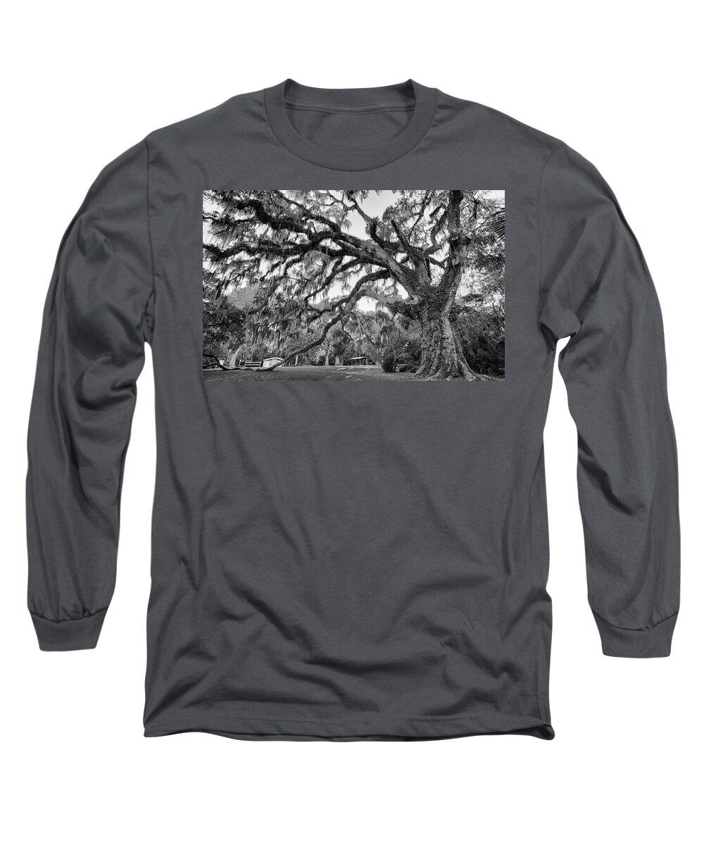 Fairchild Long Sleeve T-Shirt featuring the photograph Fairchild Tree by Dillon Kalkhurst
