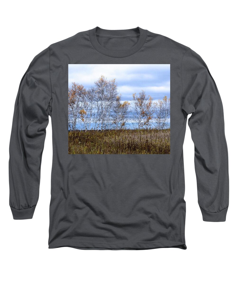 Fall Colors Long Sleeve T-Shirt featuring the photograph Fall Birch by Michael Hall
