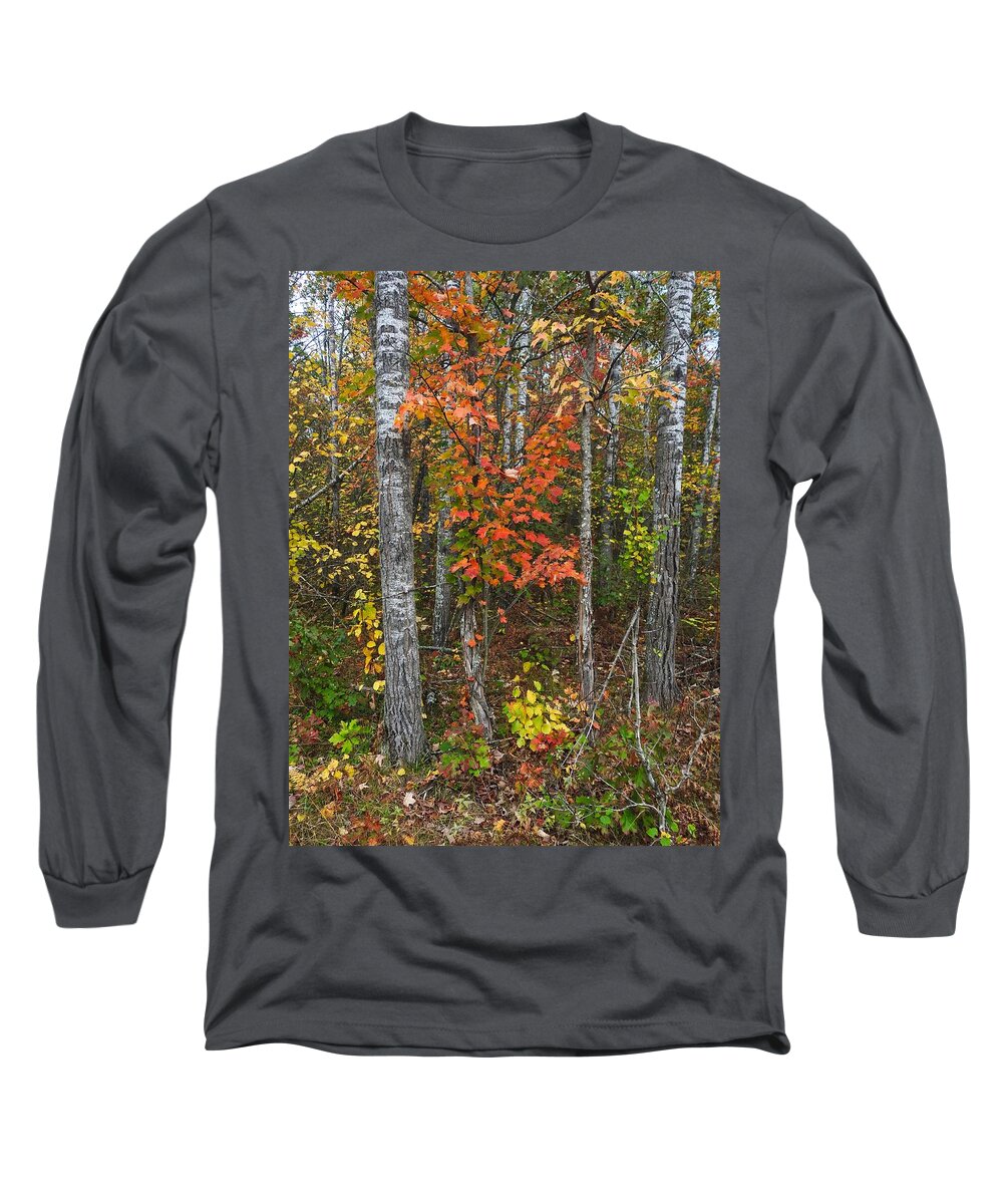 Fall Long Sleeve T-Shirt featuring the photograph Fall Color at Gladwin 4543 by Wesley Elsberry