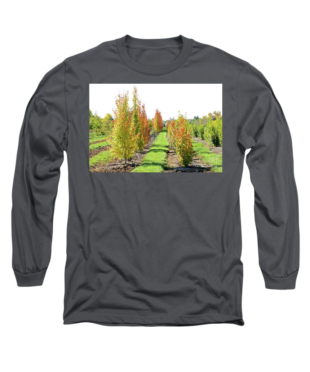 Fall Long Sleeve T-Shirt featuring the photograph Fall on the Tree Farm by Cindy Schneider