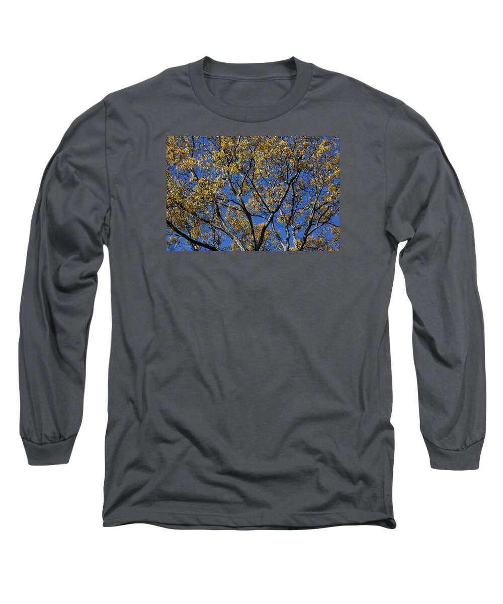 Tree Long Sleeve T-Shirt featuring the photograph Fall Splendor and Glory by Deborah Crew-Johnson