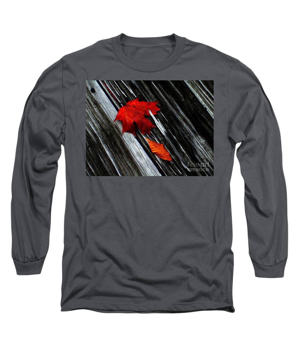 Floor Boards Long Sleeve T-Shirt featuring the photograph Fallen by Elfriede Fulda