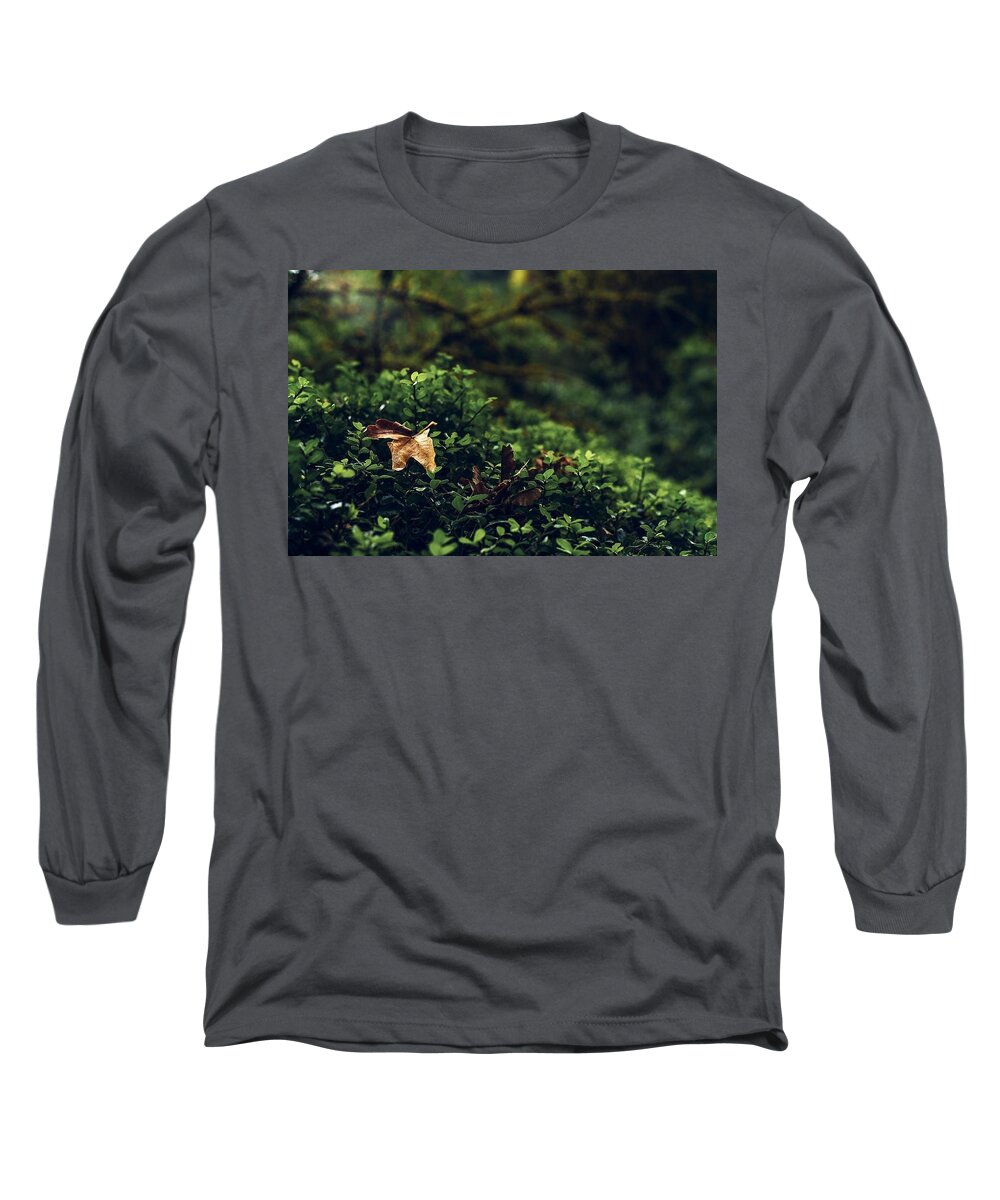 Leaf Long Sleeve T-Shirt featuring the photograph The Fallen by Gene Garnace