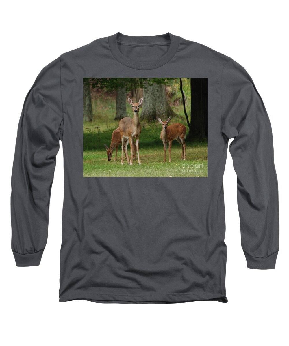 Deer Long Sleeve T-Shirt featuring the photograph Family Walk by Grace Grogan