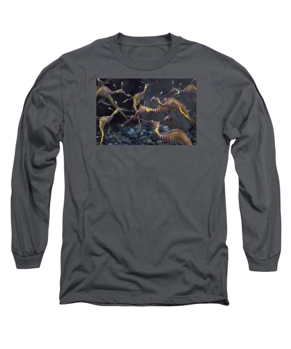 Sea Long Sleeve T-Shirt featuring the photograph Fascination by Betsy Knapp