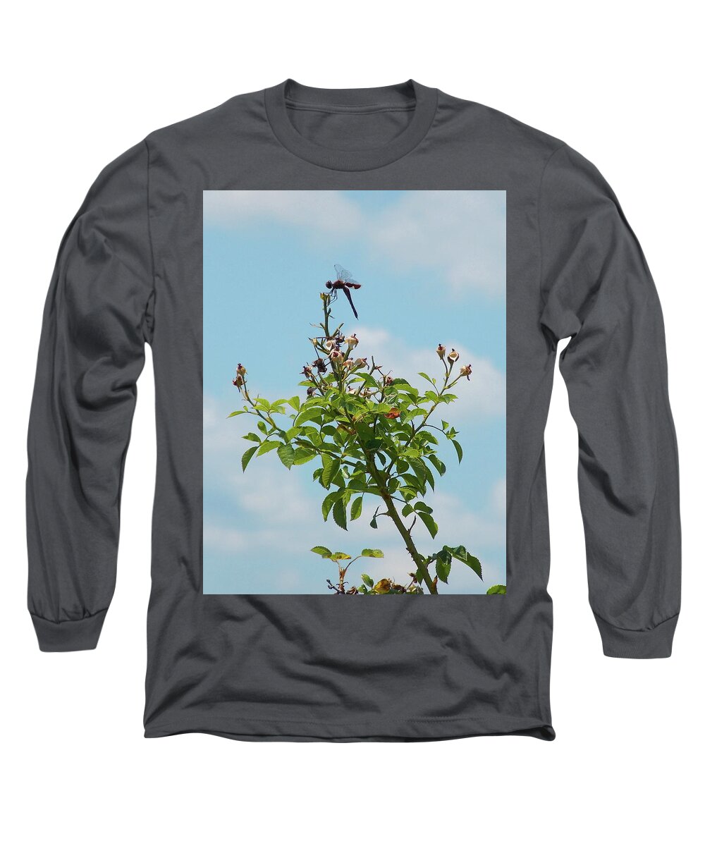 Fathers Day Long Sleeve T-Shirt featuring the photograph Fathers Day Visit by Matthew Seufer