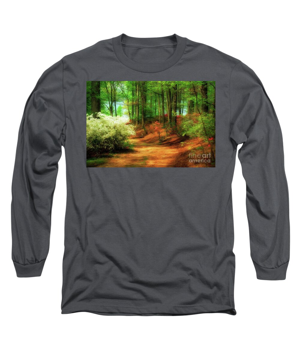 Landscape Long Sleeve T-Shirt featuring the photograph Favorite Path by Lois Bryan