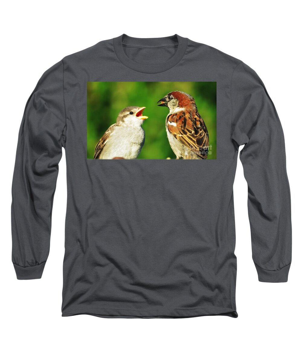 Sparrows Long Sleeve T-Shirt featuring the photograph Feeding Baby Sparrows 2 by Judy Via-Wolff