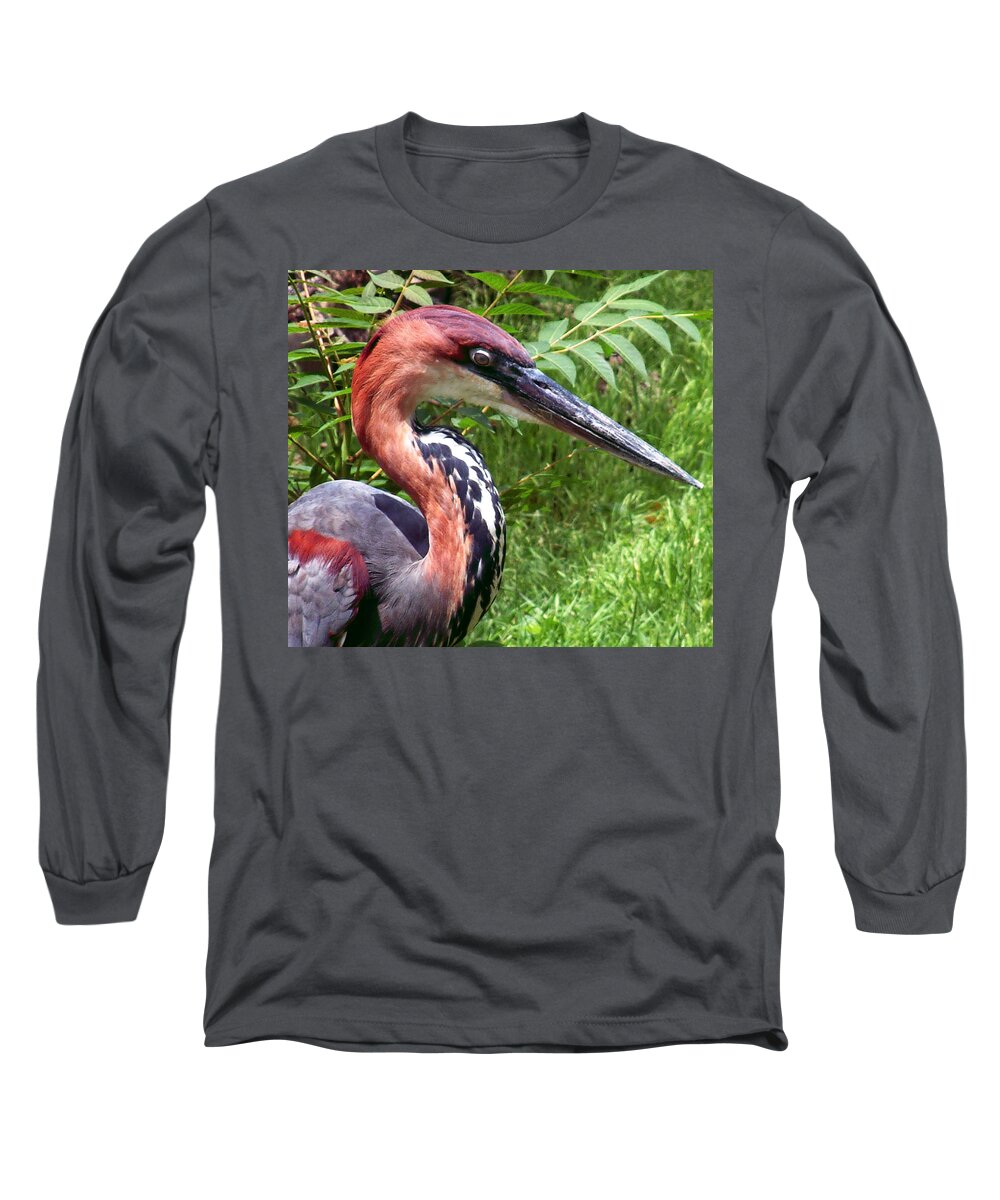 Bird Long Sleeve T-Shirt featuring the photograph Feeling a Bit Peckish by RC DeWinter