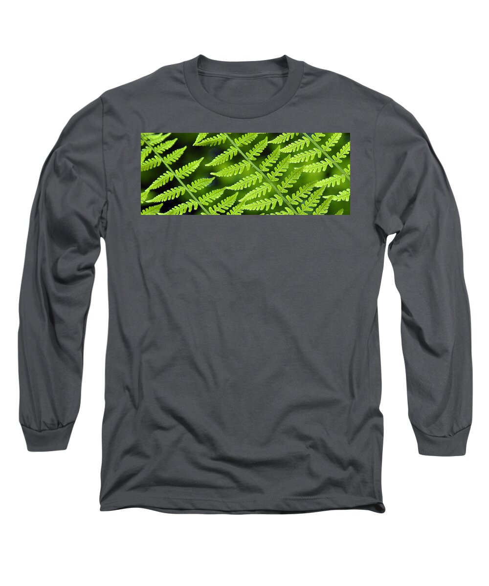 Fern Long Sleeve T-Shirt featuring the photograph Fern Branches by Ted Keller