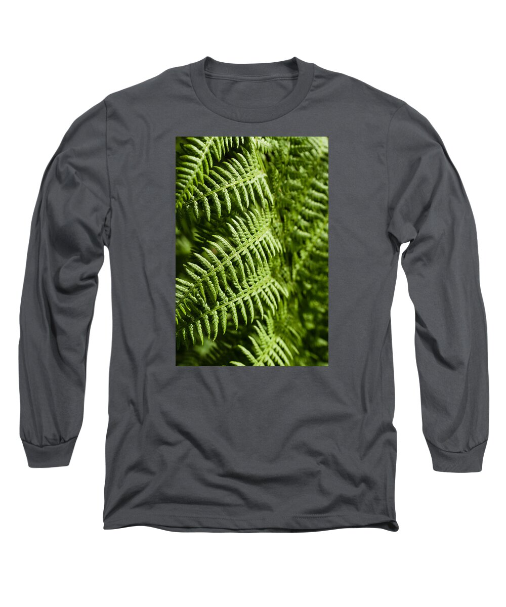 Abstract Long Sleeve T-Shirt featuring the photograph Fern me up by Marcus Karlsson Sall