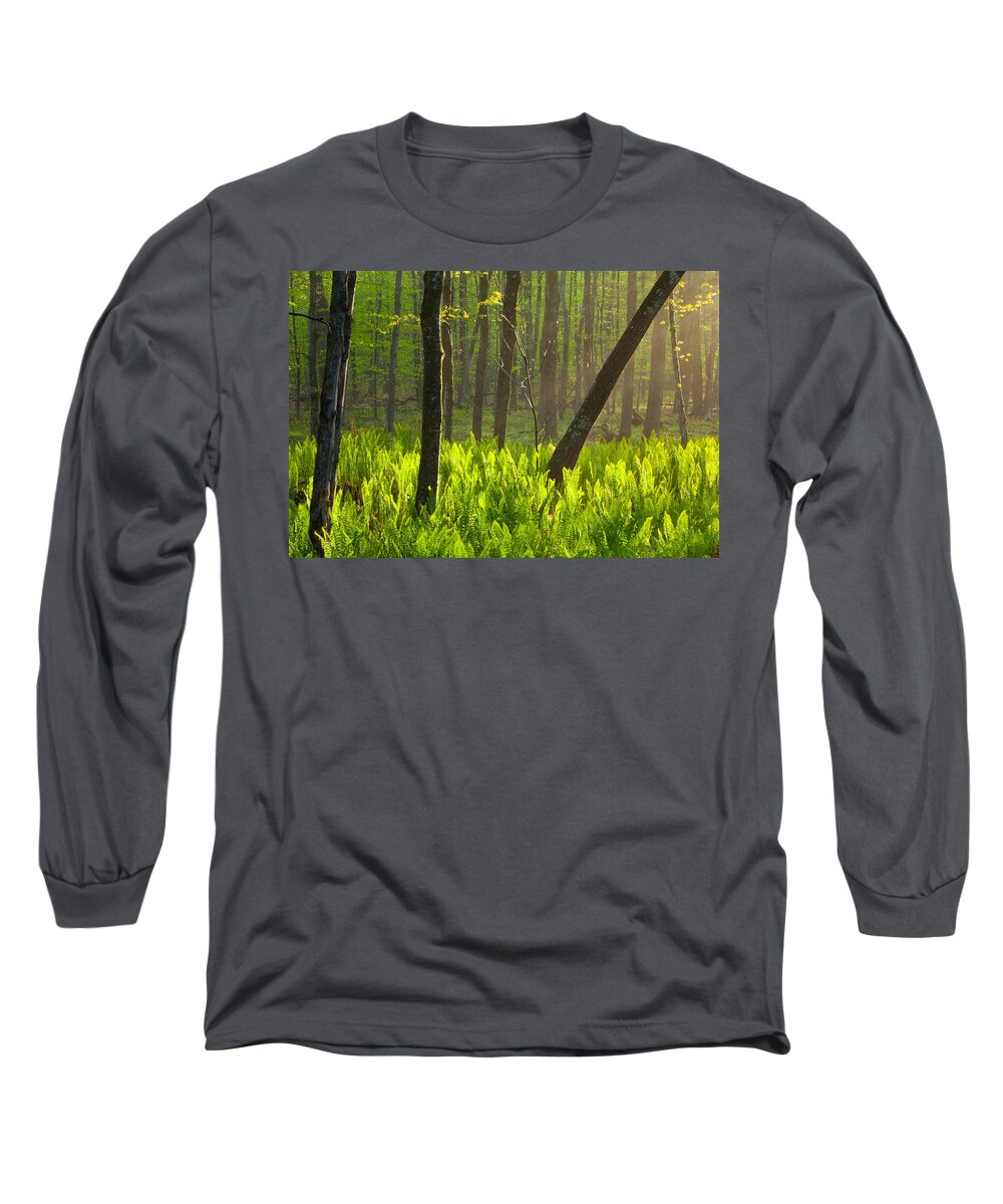 Wisconsin Long Sleeve T-Shirt featuring the photograph Fiddle me this by David Heilman