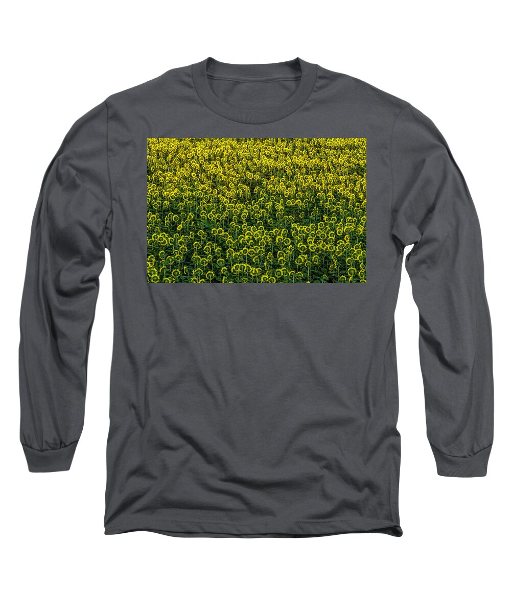 Sunflowers Long Sleeve T-Shirt featuring the photograph Field of sunflowers by Wolfgang Stocker