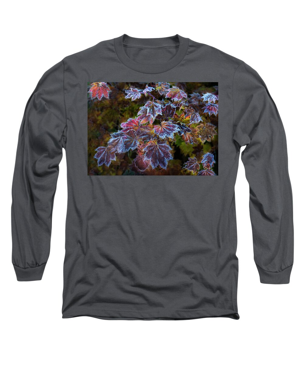 Leaves Long Sleeve T-Shirt featuring the digital art First Frost by John Christopher