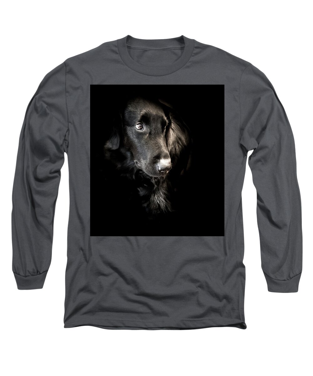 Dog Long Sleeve T-Shirt featuring the photograph Flat Coated Retriever by Allin Sorenson