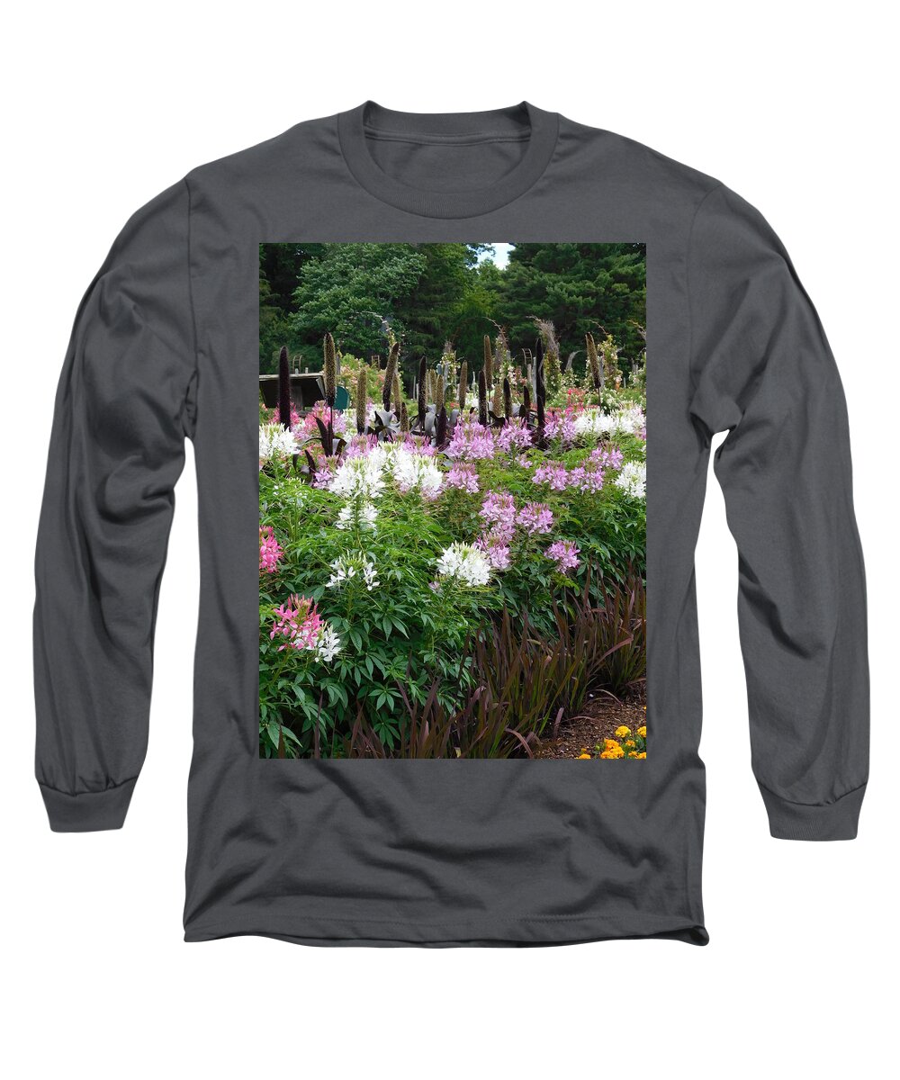 Hartford Long Sleeve T-Shirt featuring the photograph Flowers and Tall Grasses by Catherine Gagne