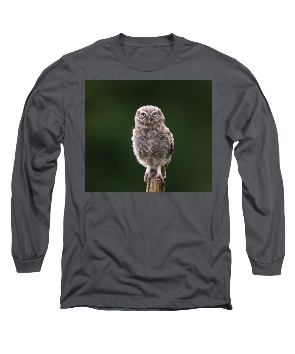Little Owl Long Sleeve T-Shirt featuring the photograph Fluffy McFluff-Face by Pete Walkden